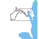 Eastern US (speculative)