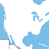 North America (speculative)