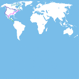 world (speculative)