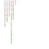 All bus routes in nyc (real)